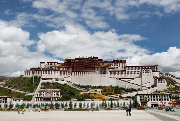 Tibetan Medicine: How Tibet Views Disease, Diagnosis & Treatment