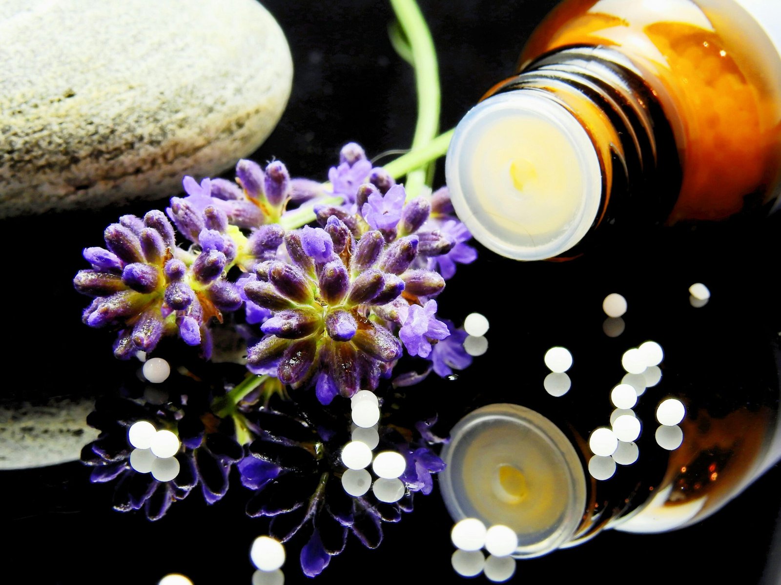 The Historical Development of Homeopathy