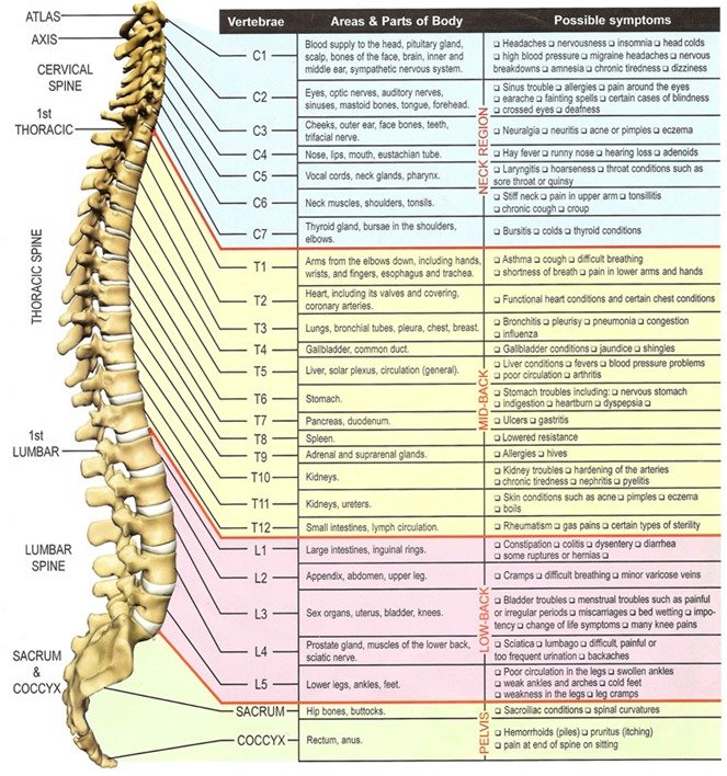 Structural, Biochemical, Mental/Emotional, Spiritual, Genetic and Environmental Factors in Health and Disease