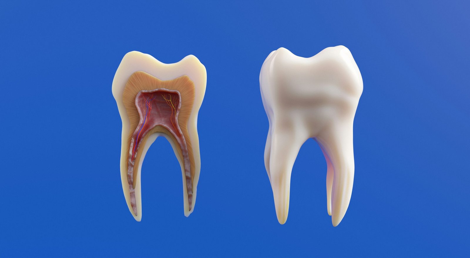 How Can Dental Procedures like Root Canals, Crowns and Fillings Affect Health?